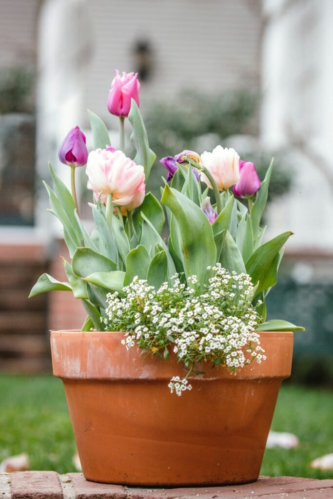 Ceramic clay planter pot